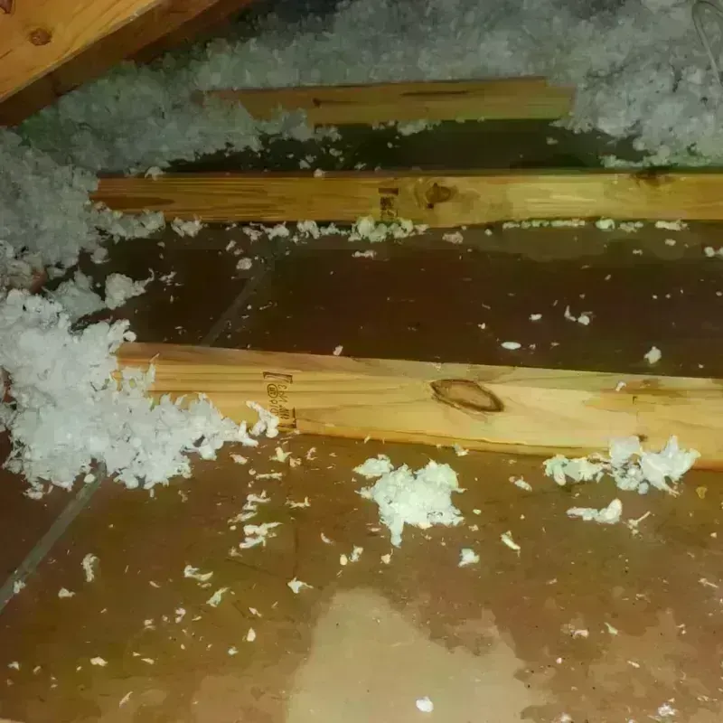 Attic Water Damage in Mitchell County, GA