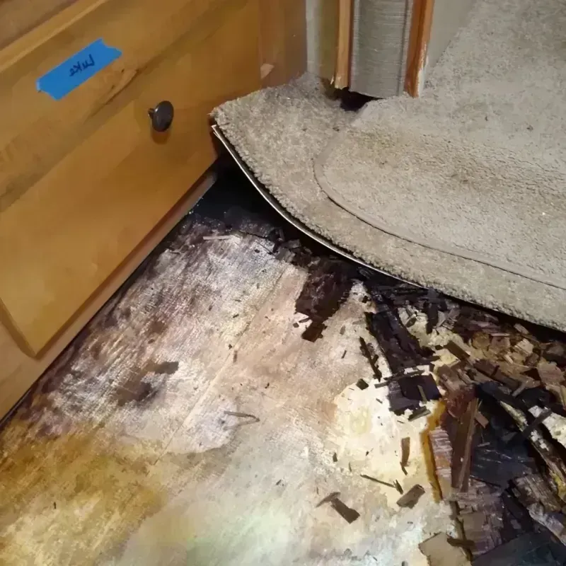 Wood Floor Water Damage in Mitchell County, GA